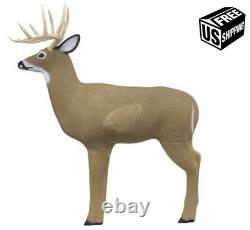 Big Buck Archery 3D Shooter Target Shoot Deer Heavy Duty Core Insert Bow Hunting