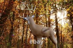 Series 3D Archery Target Full Size Buck Heavy Duty Outdoor with Replaceable Core
