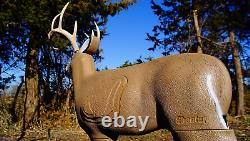 Series 3D Archery Target Full Size Buck Heavy Duty Outdoor with Replaceable Core